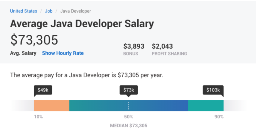 Critical Tips to Calculate Cost to Hire Java Developer 1 java developer